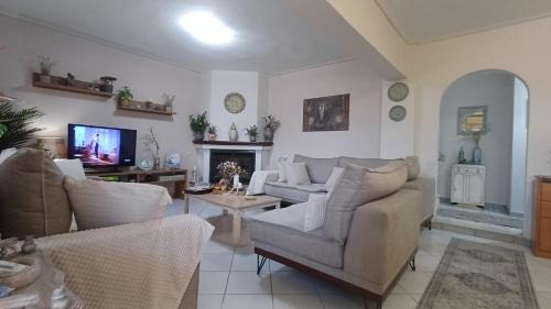 Lianokladi Apartment | Cozy γωνιά στο χωριό