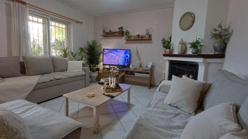Lianokladi Apartment | Cozy γωνιά στο χωριό