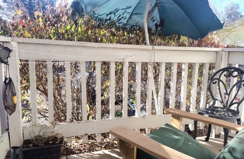 Windsor Condo | Cozy 1-bedroom condo in awesome Denver with WiFi, AC