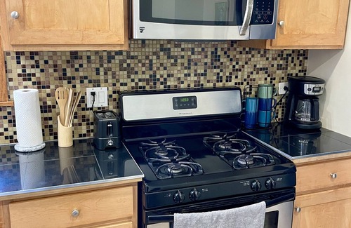 Lower West Side Apartment | Cozy 2BR haus inn Pilsen with patio and fire pit 🔥