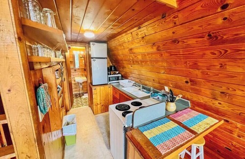 Howard Cabin | Cozy A Frame Cabin with Arkansas River View