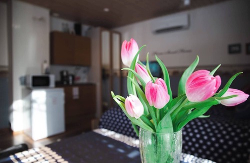 Kokkola Apartment | Cozy and quiet studio 10 minutes from the center of Kokkola.