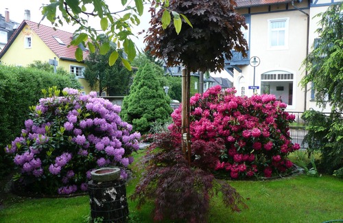 Weisser Hirsch Apartment | Cozy apartment for 2 people in the exclusive residential area Dresden White Stag