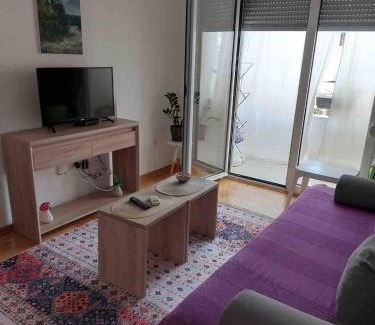 Golubovina Apartment | Cozy Apartment with Private Garage - Walk to City Center