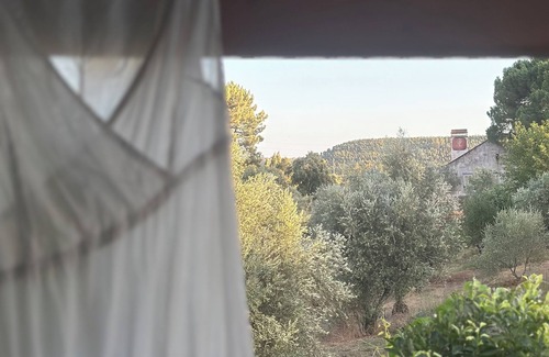 Sao Pedro de Tomar Cottage | Cozy cottage in a peaceful village surrounded by nature