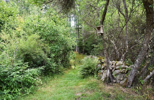 Hastveda House | Cozy cottage in the countryside in the middle of the beautiful nature of Skåne