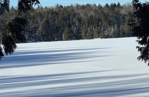 Limerick Cottage | Cozy Cottage on Quiet Lake