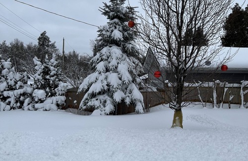 Scugog Cottage | Cozy cottage on the lake Scugog!
