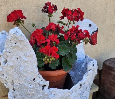 Livezile House | Cozy, country house