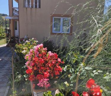 Livezile House | Cozy, country house