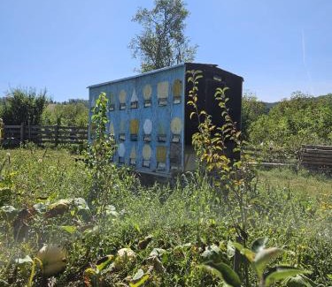 Livezile House | Cozy, country house