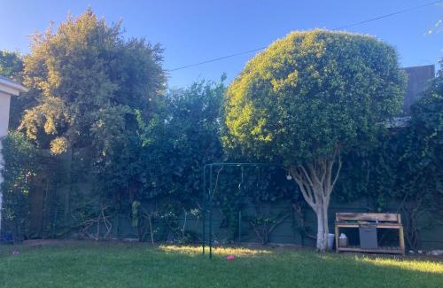 Claremont Apartment | Cozy garden Guest Suite in charming Claremont