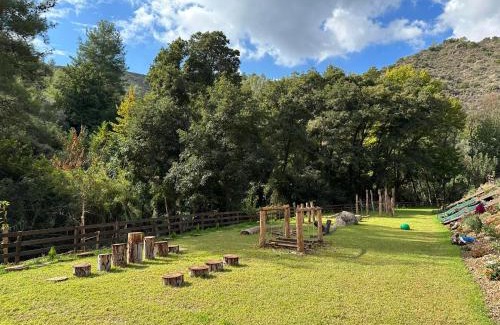 Arakapas Apartment | Cozy Glamping Cabin With Pool, Perfect For Couples & Families