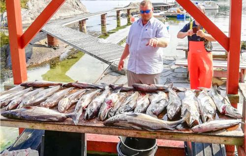 Hatlestrand House | Cozy Home In Hatlestrand With Sauna