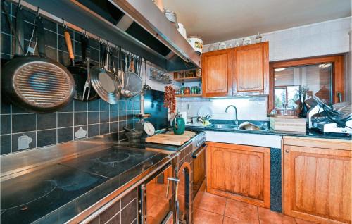 Velika Pisanica House | Cozy Home In Ribnjacka With Kitchen