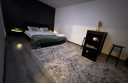 Petrosani Apartment | Cozy Home Studio