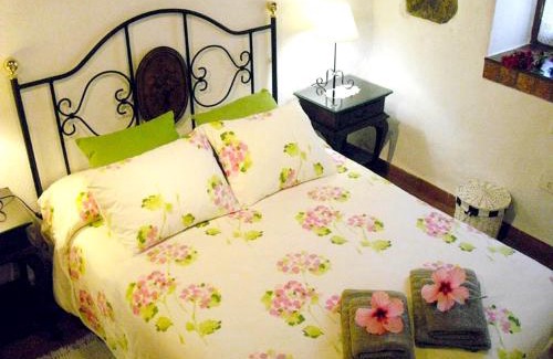 San Cristobal de La Laguna House | Cozy house with pool in San Cristóbal de La Laguna, 70 m²