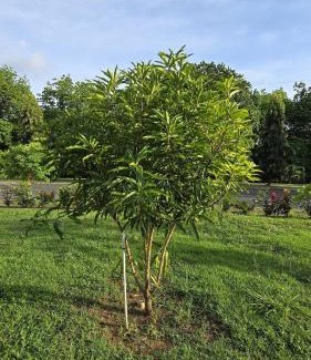 Los Algarrobos House | Cozy, Quiet & Spacious 4bd 3 bth Full Home Gated Community