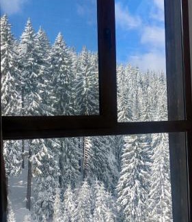 Pamporovo Apartment | Cozy Studio at The Castle - Pamporovo