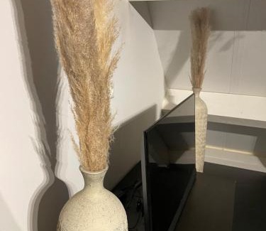 Hippolytushoef Apartment | Cozy Studio in the heart of the village