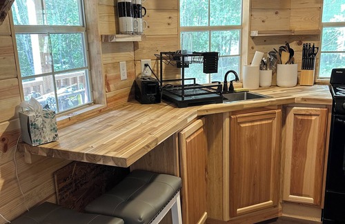 Walker Cabin | Cozy Tiny Cabin Near Leech Lake complete with Firepit + Trails