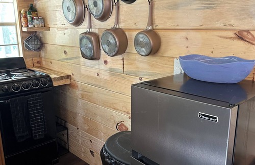 Walker Cabin | Cozy Tiny Cabin Near Leech Lake complete with Firepit + Trails