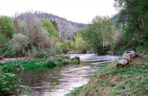 Murphy Other | Cozy Wild West Covered Wagon next to River
