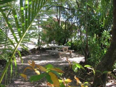 Bynoe Resort | Crab Claw Island