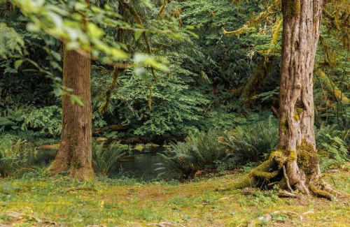 Blachly Other | Creekside Retreat at Triangle Lake