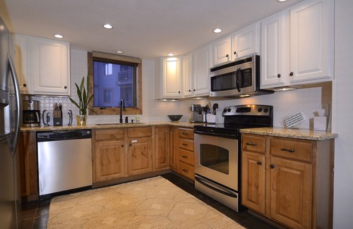 Crested Butte House | Crested Mountain North J6/Only a 70 Yard Walk to Skiing! Great Views! Hot Tub!