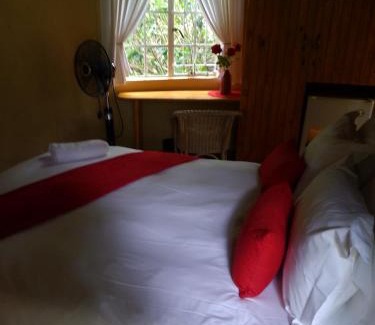 Alkmaar Bed & Breakfast | Crocodile Nest B&B