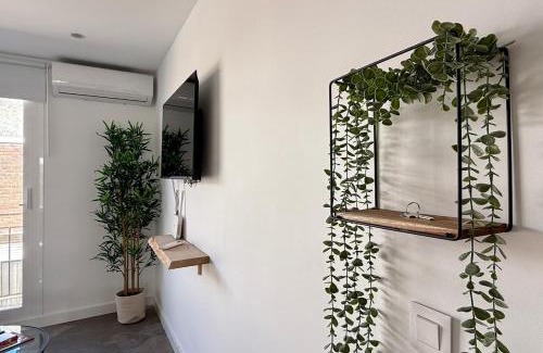 Centro Comercial Apartment | Cruz Conde Suite Deluxe