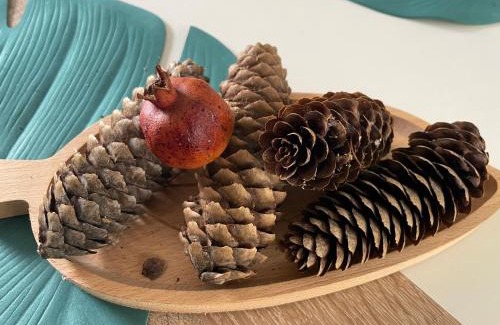 Harkany House | CsakMiKisház