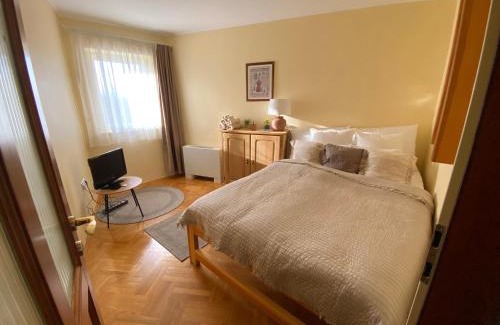 Nyiregyhaza Villa | Csend Dűlő