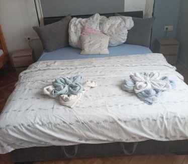 Balogunyom Apartment | Csilla Apartman