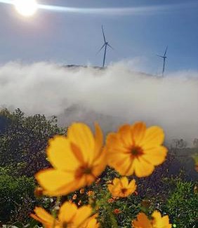 Da Lat Apartment | Cub Homestay- Đồi quạt gió