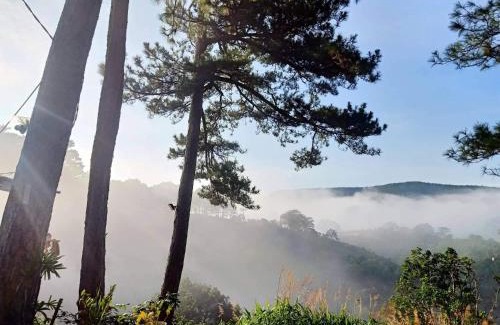 Da Lat Ski Chalet | Cub Homestay - Nhà Bên Rừng