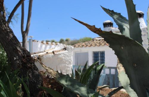 Baza House | Cueva Las Yeseras