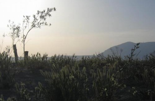 Baza Apartment | Cuevas Alcobas