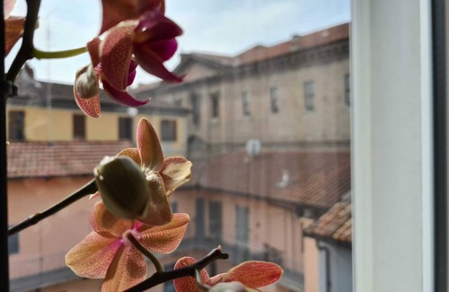 Alba Apartment | CUORE DI ALBA - Charming apartment with private garage in ALBA downtown