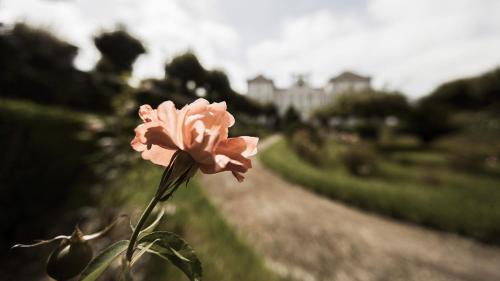 Curia Hotel | Curia Palace Hotel & Spa