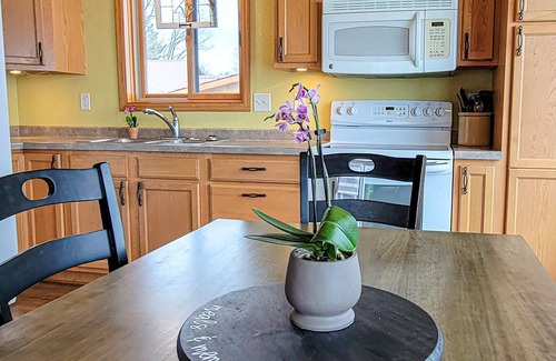 Whipholt Cabin | Cute 2-bed Cabin w/ prestige views of Leech Lake!