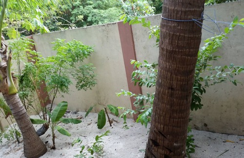 Roxas Cottage | Cute, cool Green Kubo near the beach