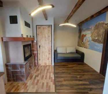 Ujudvar Apartment | Dámszarvas Vendégház