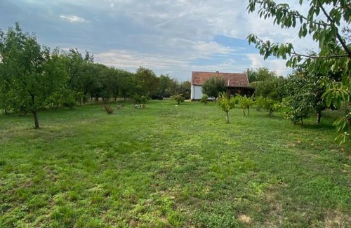 Szigetvar House | Dézsavű Vendégház