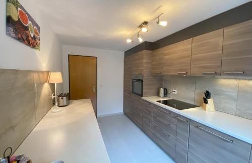 Hofstetten bei Brienz Apartment | 'DAHElM'