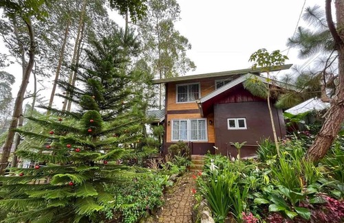 Libona House | Dahilayan Comfy Cabin