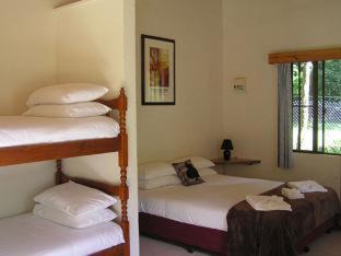 Diwan Cabin | Daintree Siesta