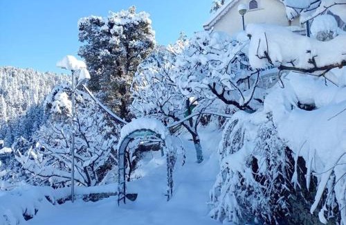 Shimla Apartment | Daisy Cottage at Mashobra's Private Heritage