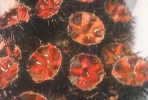 Savelletri Apartment | dal pescatore appartamenti